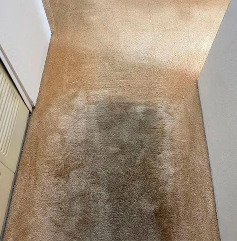 mancha de alfombra antes de su limpieza