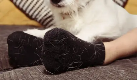 ductos-secadora-sucio